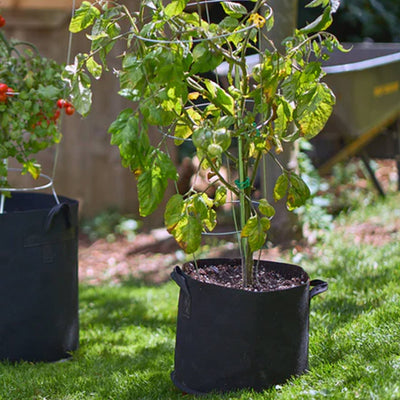 FCMP Outdoor 10 Gallon Modern Non Woven Breathable Grow Bags, Black (5 Pack) - VMInnovations