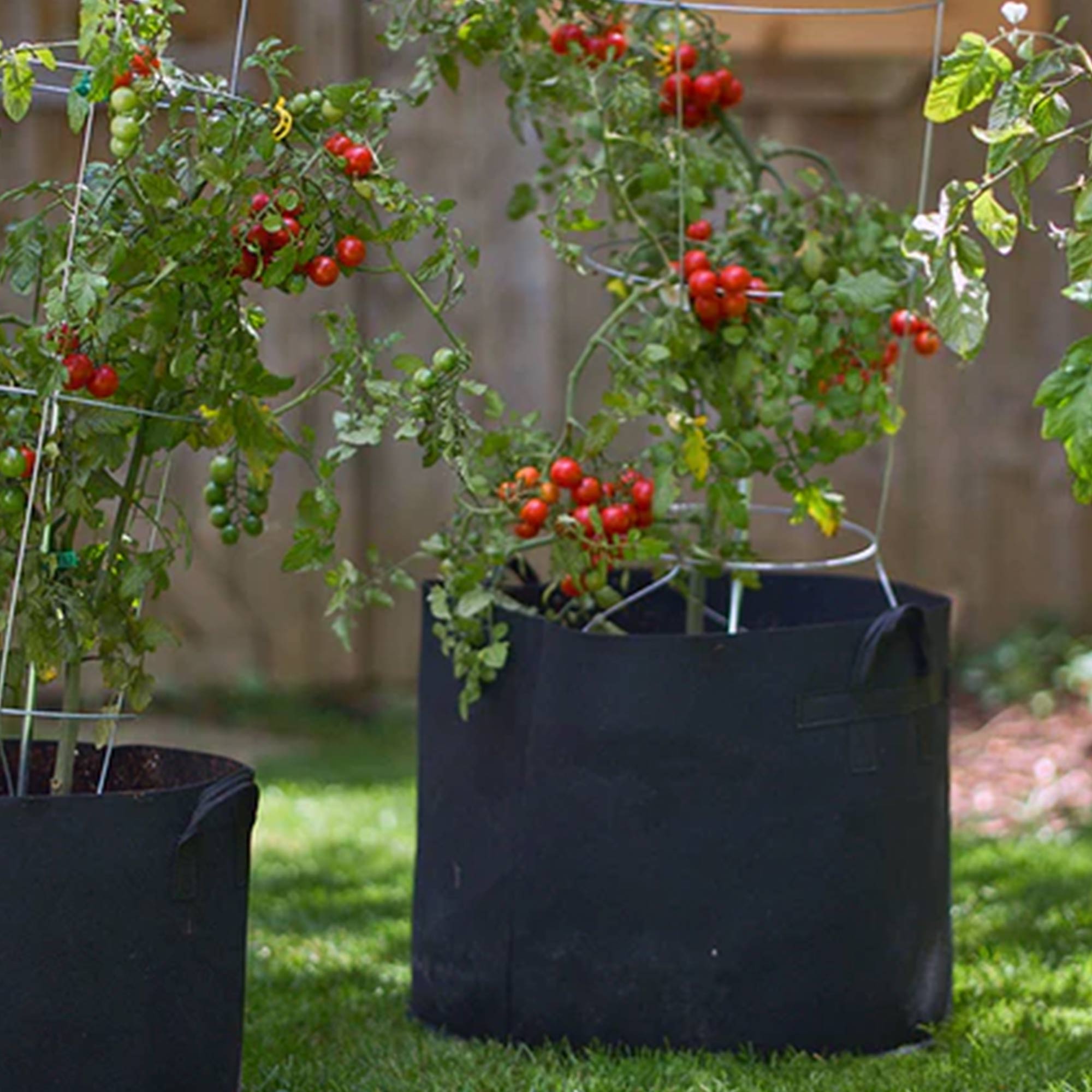 FCMP Outdoor 20 Gallon Modern Non Woven Breathable Grow Bags, Black (5 Pack) - VMInnovations