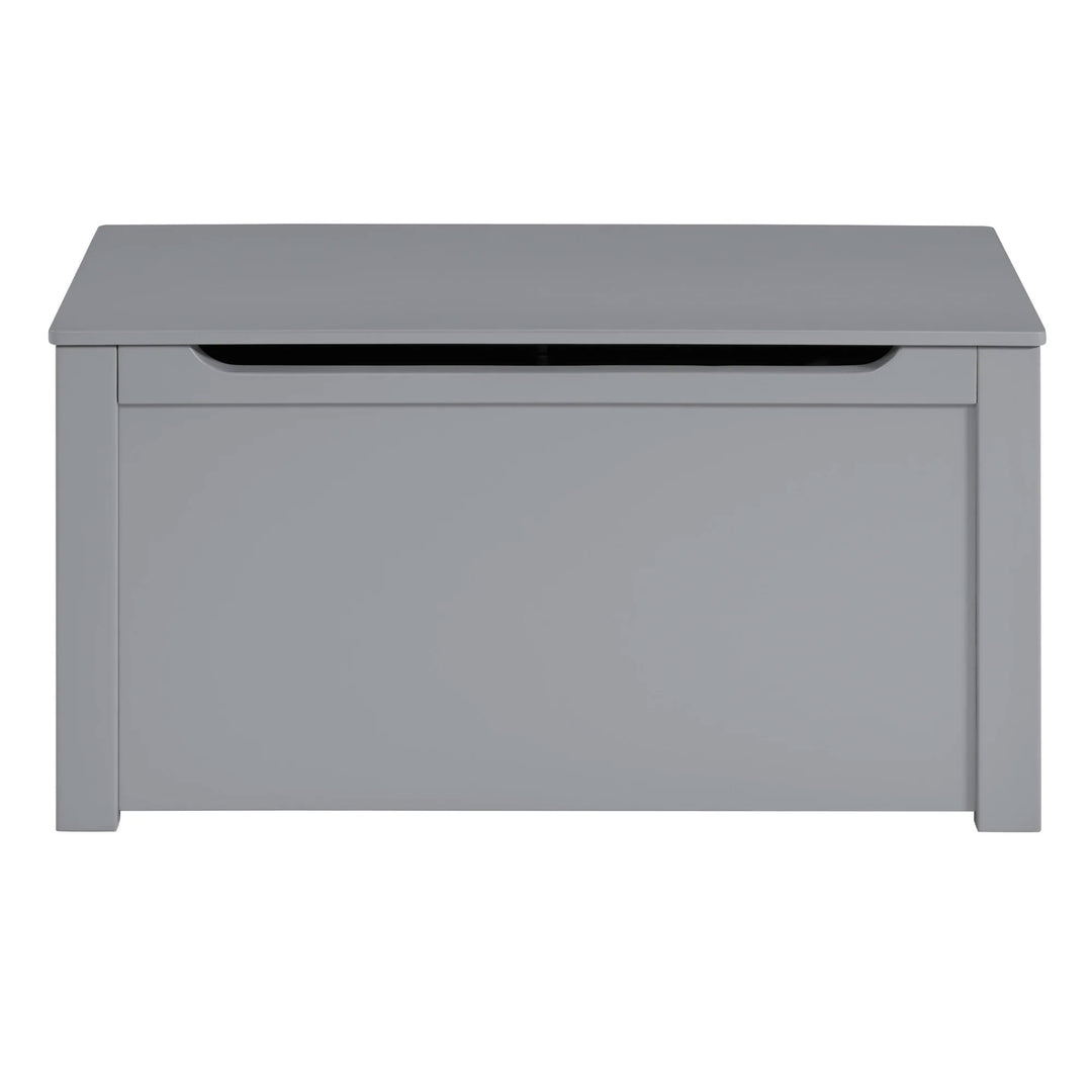 Sturdis Wooden Toy Box Stylish & Spacious for Home Organization, Gray (Used) - VMInnovations