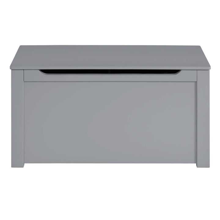 Sturdis Wooden Toy Box Stylish & Spacious for Home Organization, Gray (Used) - VMInnovations