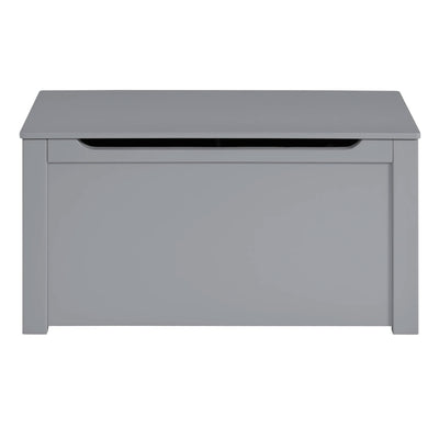Sturdis Toy Box Stylish & Spacious Storage for Home Organization, Gray(Open Box) - VMInnovations