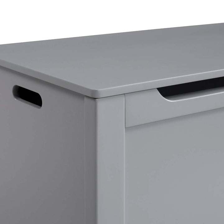 Sturdis Wooden Toy Box Stylish & Spacious for Home Organization, Gray (Used) - VMInnovations