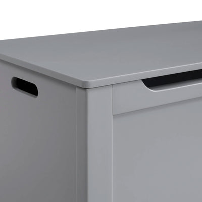 Sturdis Toy Box Stylish & Spacious Storage for Home Organization, Gray(Open Box) - VMInnovations