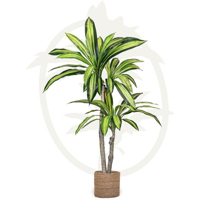 Maia Shop Artificial Dracaena Plant 3.5 Feet Tall Tropical Palm Tree, 41 inches