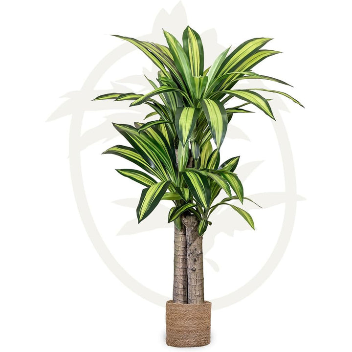 Maia Shop Artificial Dracaena Plant 3 ft. 11 in. Tall Tropical Palm Tree, 47 inches