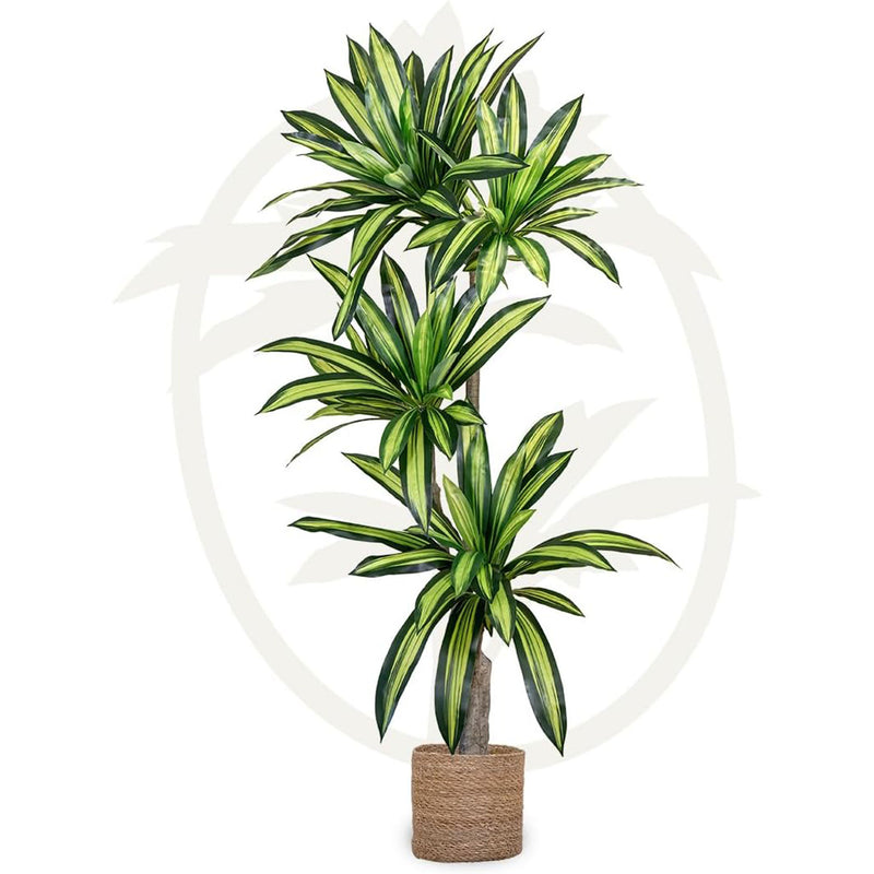 Maia Shop Artificial Dracaena Tree 5.5 ft. Tall Home Decoration, 67 In. (Used)