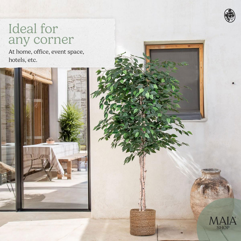 Maia Artificial Ficus Tree 6ft Tall Tropical Home Decoration, 71 Inches (Used)