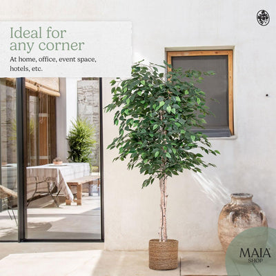 Maia Shop Artificial Ficus Tree 6ft Tall Tropical Home Decoration,71" (Open Box)