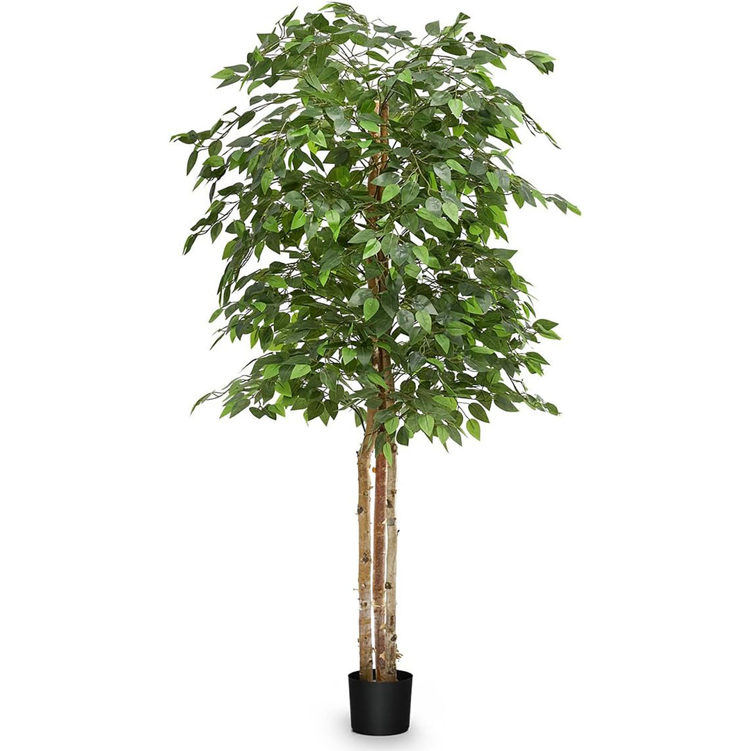 Maia Artificial Ficus Tree 6ft Tall Tropical Home Decoration, 71 Inches (Used)