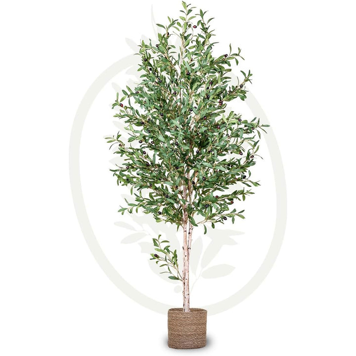 Maia Shop Artificial Olive Tree 6 Feet Tall Potted Home Decoration,71"(Open Box)