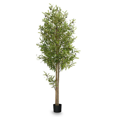 Maia Shop Artificial Olive Tree 6 Feet Tall Potted Home Decoration,71"(Open Box) - VMInnovations