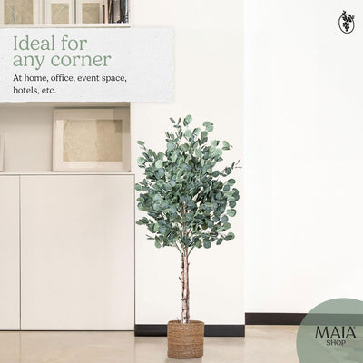 Maia Shop Artificial Eucalyptus Tree 5' Tall, Fake Tree with Natural Wood (Used)