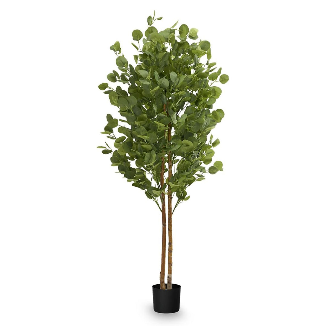 Maia Shop Artificial Eucalyptus Tree 5' Tall, Fake Tree with Natural Wood (Used)