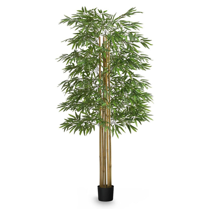 Maia Shop Artificial Bamboo Tree 6ft Tall Potted Home Decoration, 71" (Used)