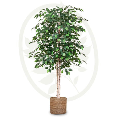 Maia Shop Artificial Ficus Tree 5 Feet Tropical Decoration, 60 Inches (Open Box)