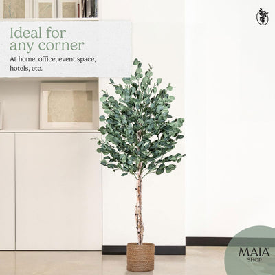 Maia Shop Artificial Eucalyptus Tree 6' Tall, Natural Wood Trunk (Open Box)