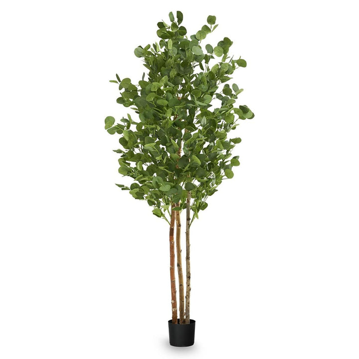 Maia Shop Artificial Eucalyptus Tree 6' Tall, Natural Wood Trunk (Open Box)
