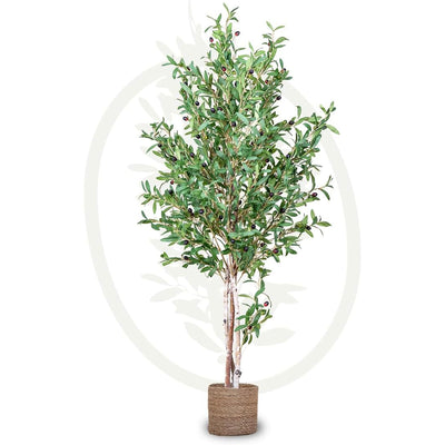 Maia Shop Artificial Olive Tree 5 Feet Tall Potted Home Decoration, 60 Inches