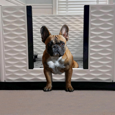 EZwhelp EZclassic 38" x 38" Dog Whelping Box Tall Playpen w/Rails & Liner, Gray - VMInnovations
