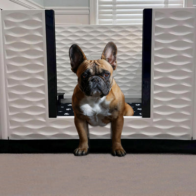 EZwhelp EZclassic 38" x 38" Puppy Dog Whelping Box Playpen with Rails & Liner