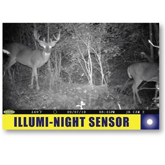 2 MOULTRIE Game Spy Mini M-80XD Infrared Digital Trail Game Cameras 5MP - Videos
