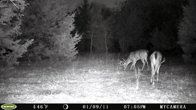 2 MOULTRIE Game Spy Mini M-80XD Infrared Digital Trail Game Cameras 5MP - Videos