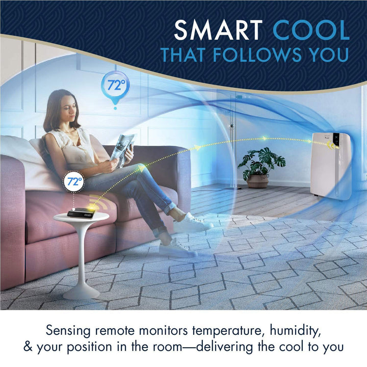 DeLonghi Pinguino Arctic Whisper Portable Air Conditioner (Refurbished) (Used) - VMInnovations