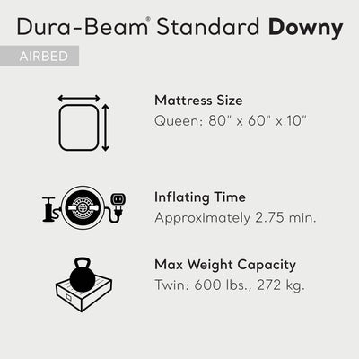 Intex 10 Inch Dura Beam Rectangular Standard Downy Air Mattress, Queen (2 Pack) - VMInnovations