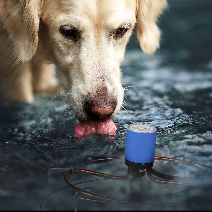 Farm Innovators H-429 1500 Watt Cast Aluminum Submergible Water Deicer (8 Pack)