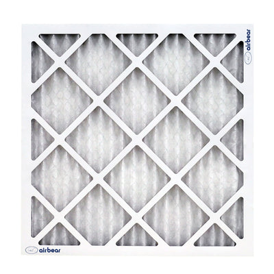 Trion Air Bear OEM 20x25x4 Inch MERV 11 Replacement Air Purifier Filter, 2 Pack