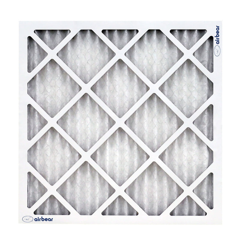 Trion Air Bear OEM 20x25x4 Inch MERV 11 Replacement Air Purifier Filter, 2 Pack