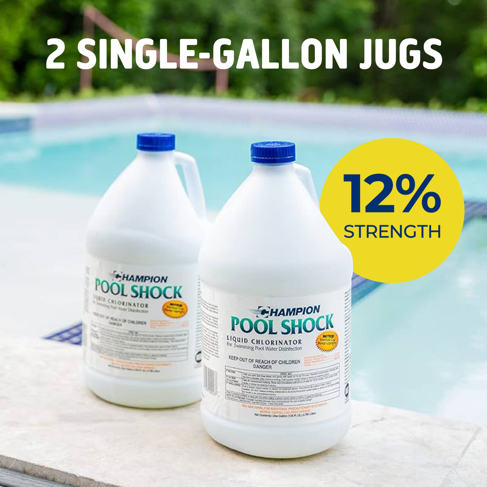 Champion Pool Shock Liquid Chlorinator for Pool Water Disinfection (4 Pack) - VMInnovations