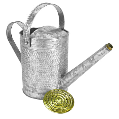 Jameson 1 Gallon Galvanized Watering Can with Handle (Open Box) - VMInnovations