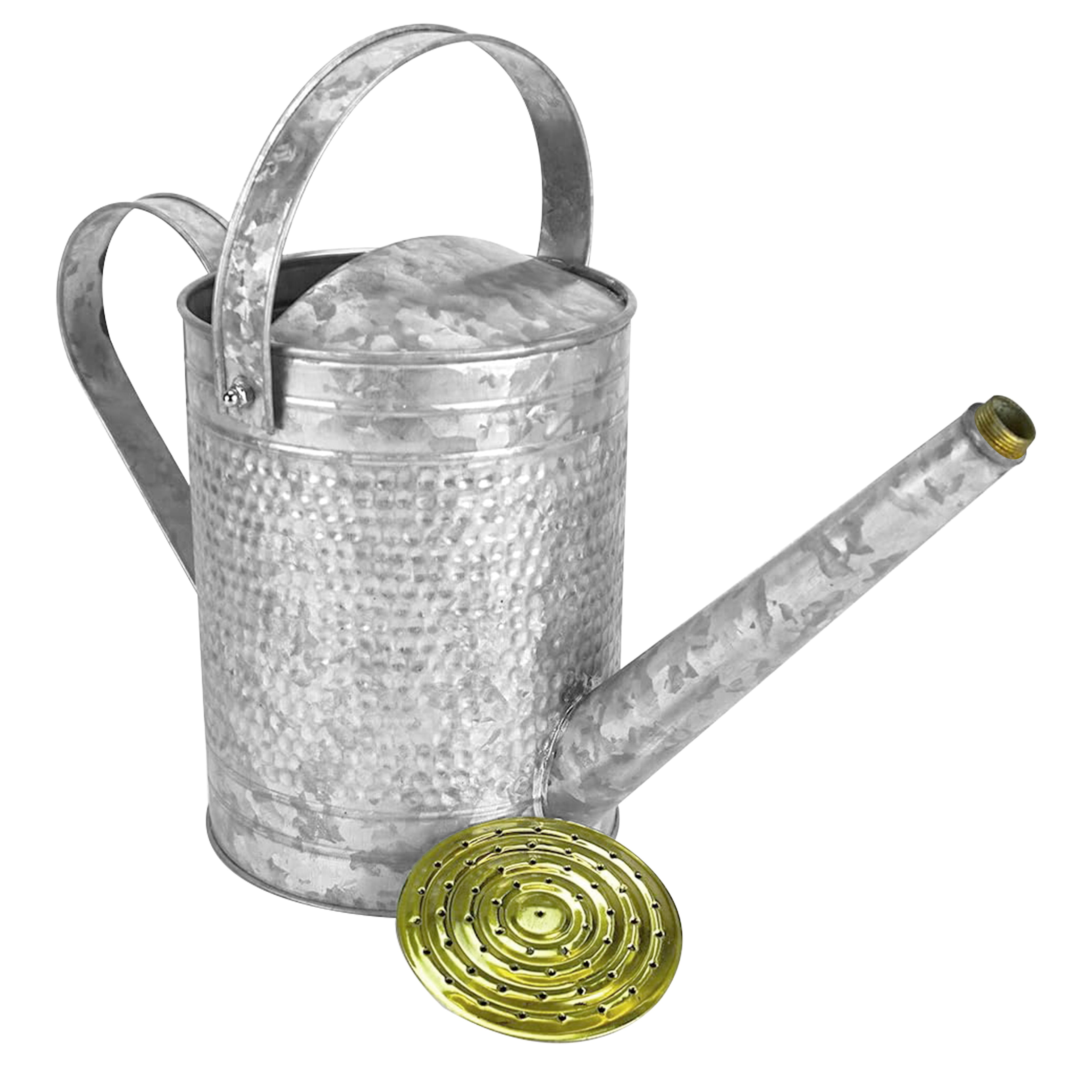 Jameson 1 Gallon Galvanized Watering Can with Handle (Open Box) - VMInnovations
