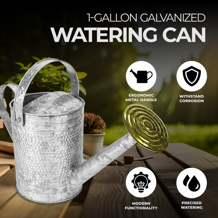 Jameson 1 Gallon Galvanized Watering Can with Handle (Open Box)