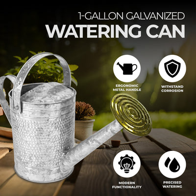 Jameson 1 Gallon Galvanized Watering Can with Handle (Open Box) - VMInnovations