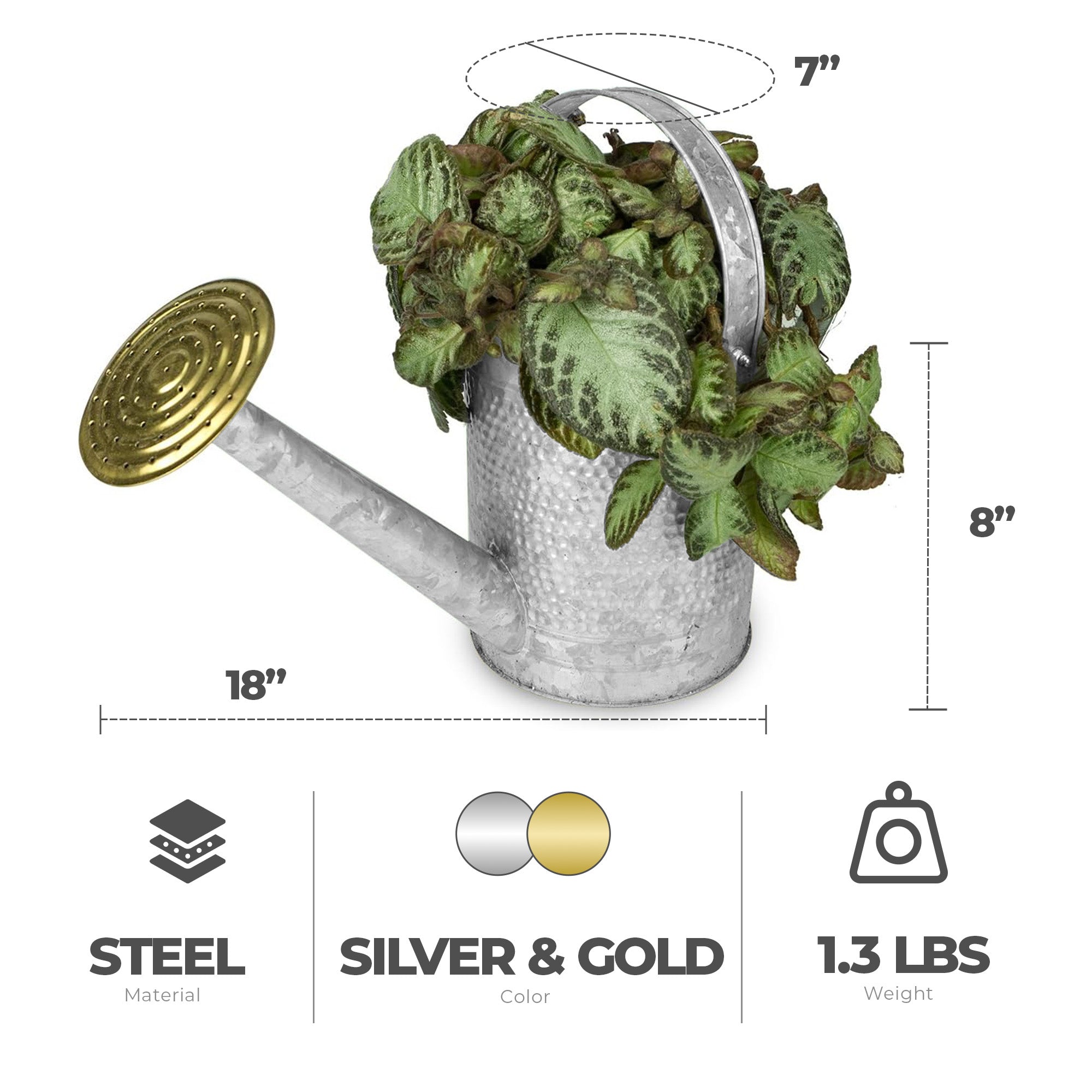 Jameson 1 Gallon Galvanized Watering Can with Handle for Patio, Lawn, and Garden - VMInnovations