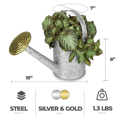Jameson 1 Gallon Galvanized Watering Can with Handle for Patio, Lawn, and Garden - VMInnovations