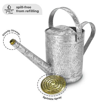 Jameson 1 Gallon Galvanized Watering Can with Handle for Patio, Lawn, and Garden - VMInnovations