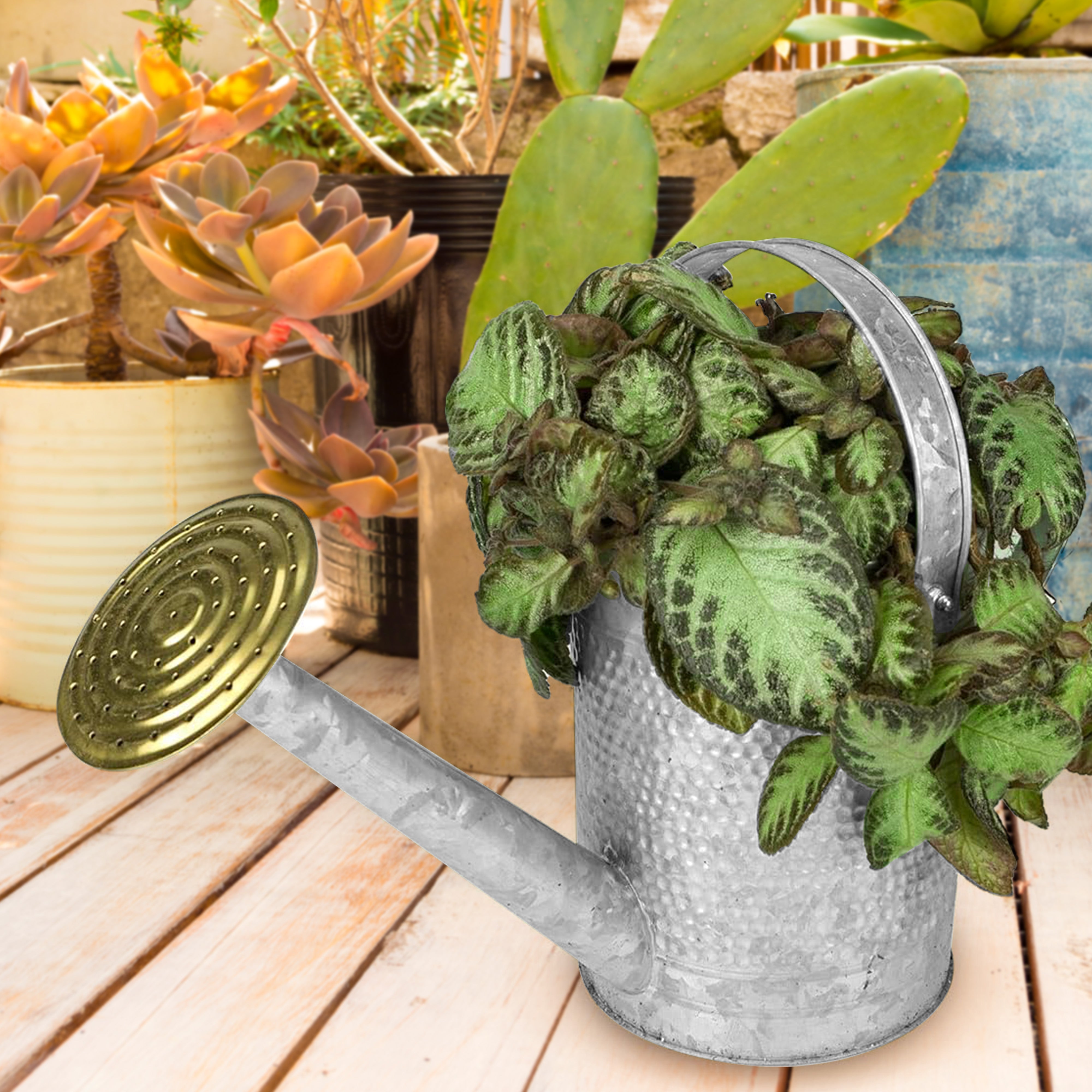 Jameson 1 Gallon Galvanized Watering Can with Handle for Patio, Lawn, and Garden - VMInnovations