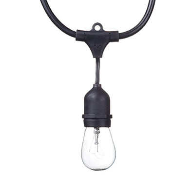 Globe Electric 48' LED Vintage S14 80 Lumens 24-Bulb String Light Set (Open Box) - VMInnovations