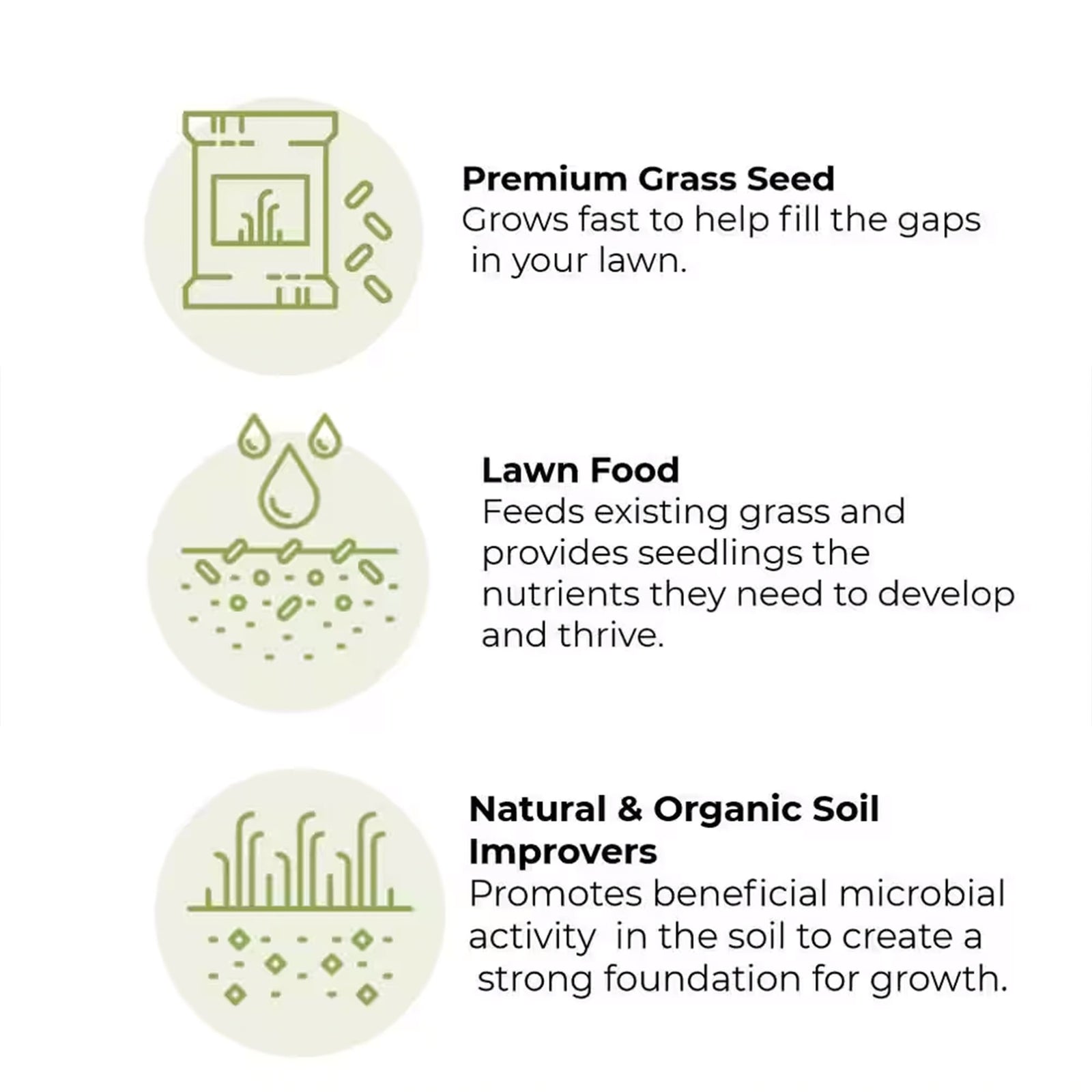 Earth Science 1 Step Sun & Shade Lawn Thickener Seed for Thin Lawns, 12 Pounds - VMInnovations