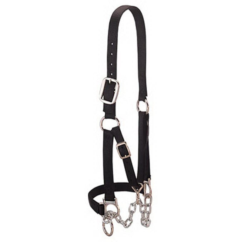 Weaver Leather Medium Cattle Halter with Double Stitched Nylon and Chin Choker
