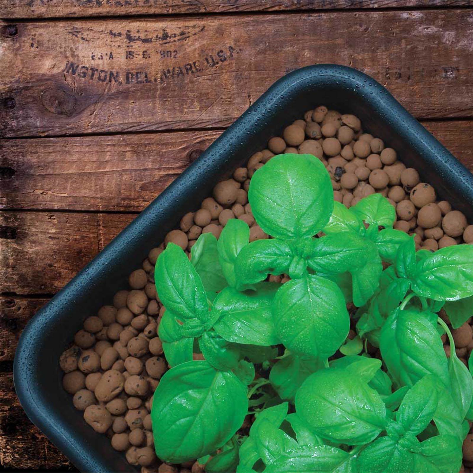 GROW!T GMC10L Hydroponic 100% Natural Clay Pebbles, .35 Cubic Feet/10 Liter Bag - VMInnovations
