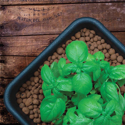 GROW!T GMC10L Hydroponic 100% Natural Clay Pebbles, .35 Cubic Feet/10 Liter Bag - VMInnovations