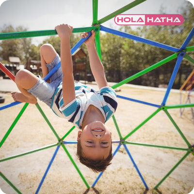 HolaHatha Dome Playground Climber for Kids, 440 Pound Capacity (For Parts) - VMInnovations