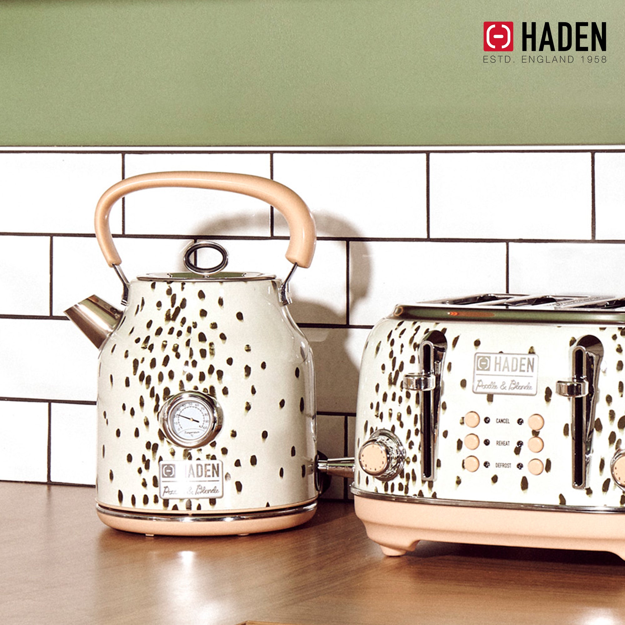 Haden Margate Poodle and Blonde Electric Kettle, 1.7 Cordless, Multicolor (Used)