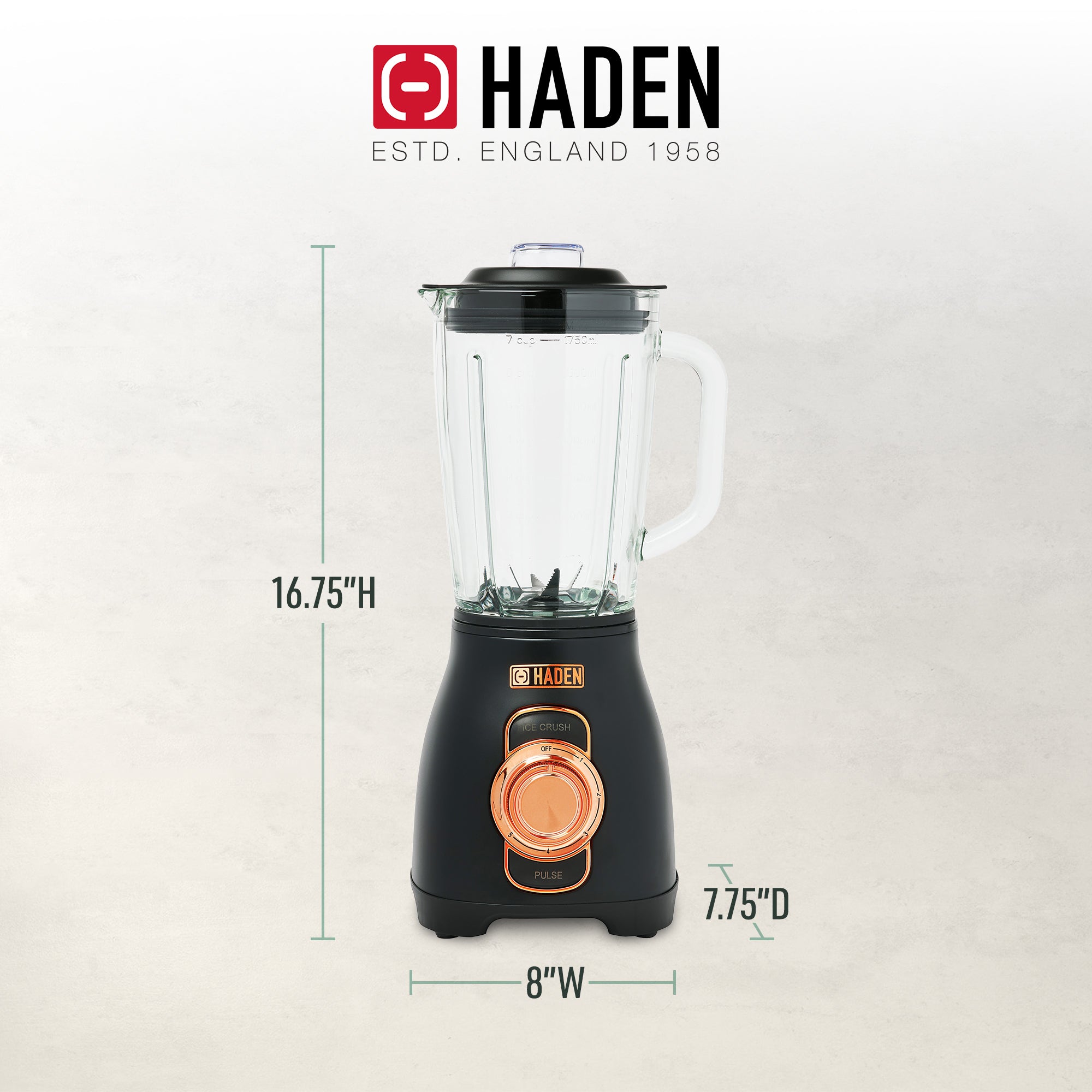 Haden Stainless 1.75 Lt Glass Jug 700W Power Blender, Black/Copper(Open Box) - VMInnovations