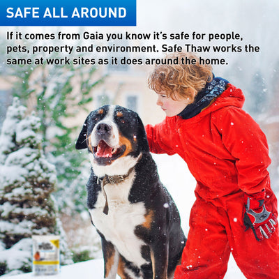 Safe Paw Industrial Strength Salt Free Traction Agent Ice Melter, 43lb, 40 Pack