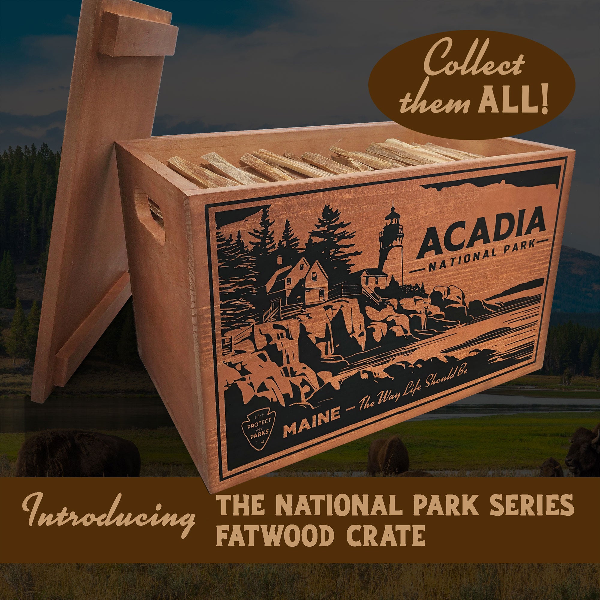 Better Wood Products Fatwood Firestarter Sticks, Acadia Box (Open Box) - VMInnovations